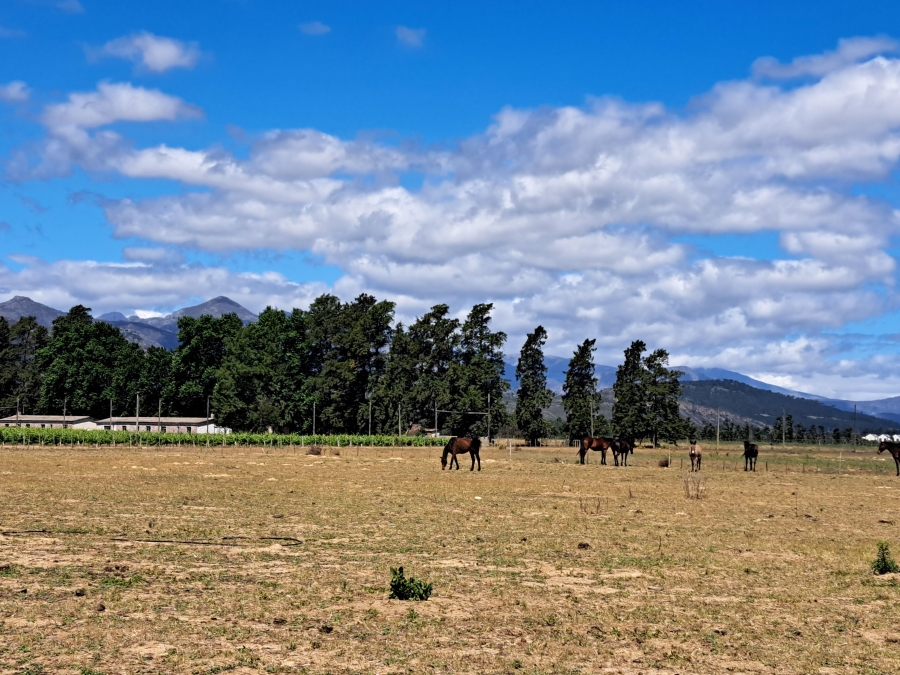 4 Bedroom Property for Sale in Paarl Rural Western Cape